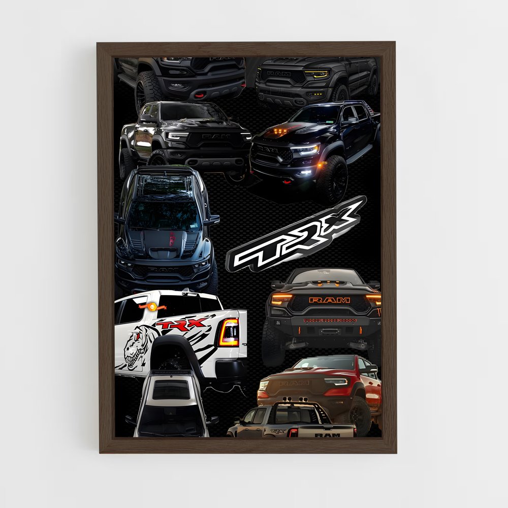 Poster Évolution Nissaneuse – affiche Dodge (vue 5)
